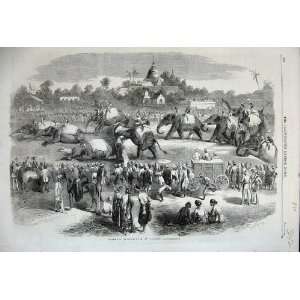   1858 Elephant Steeplechase Rangoon India Horse People: Home & Kitchen