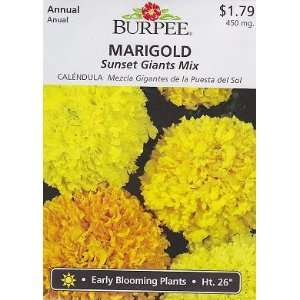    Burpee Sunset Giants Mix Marigold   75 Seeds Patio, Lawn & Garden