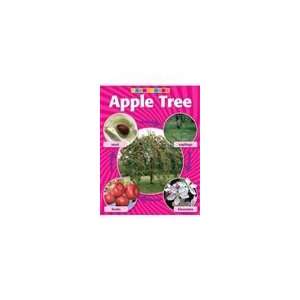  Apple Tree Life Cycle 10/Pk Graph Charts: Office Products