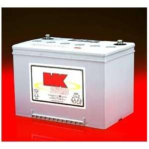  60 Amp Sealed Gel Battery: Health & Personal Care