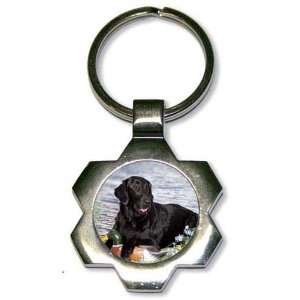  Flat Coated Retriever Star Key Chain: Office Products