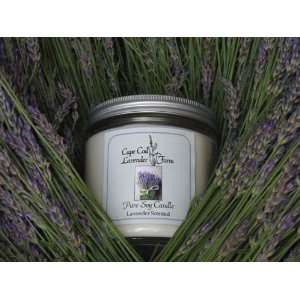 Cape Cod Lavender Farm Soy Candle: Home & Kitchen