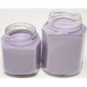  2 Pack 8 oz & 12 oz Oval Hex Soy Candle   Love Spell 