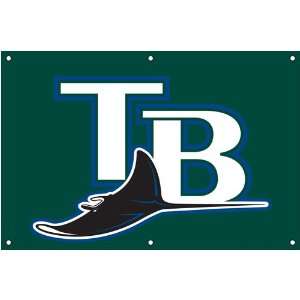 Tampa Bay Devil Rays Banner Flag 