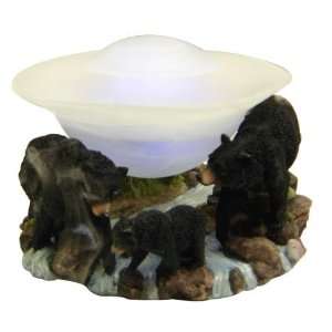  Mountain Bears MIst Fountain