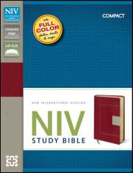 NIV Study Bible Compact Italian Duo Tone Red Tan Leather Like Compact 