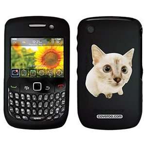  Munchkin on PureGear Case for BlackBerry Curve  