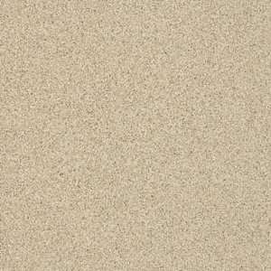   Possibilities Petit Point Sand Bar Vinyl Flooring: Home Improvement