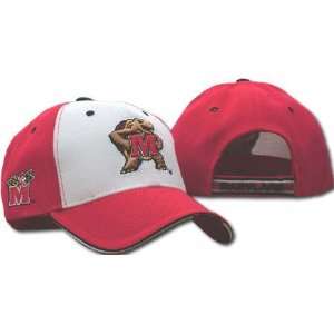 Maryland Terrapins Mascot Adjustable Hat:  Sports 