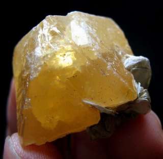 SCHEELITE crystal & MUSCOVITE slsc1ibz013  