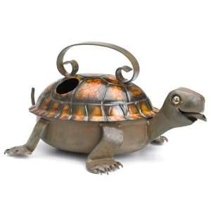  Box Turtle Watering Can   Brown Toys & Games
