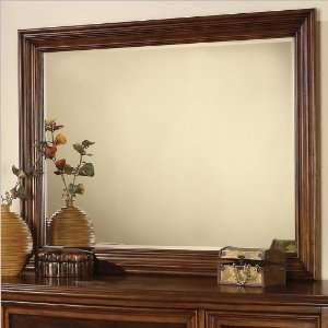  Wynwood Brendon Landscape Mirror in Hazelnut and Cabernet 