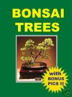 BONSAI TREES for beginners ebook + BONUS photos +resell  