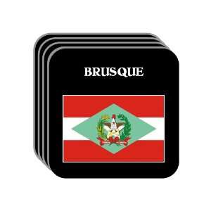  Santa Catarina   BRUSQUE Set of 4 Mini Mousepad Coasters 