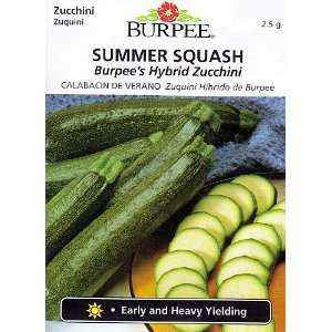  Burpees Hybrid Zucchini Summer Squash Seeds   2.5 g 