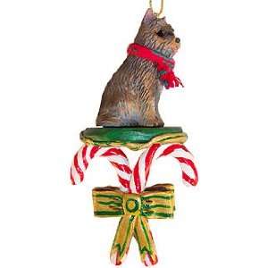  Cairn Terrier Dogs Candy Cane Christmas Ornament New: Home 