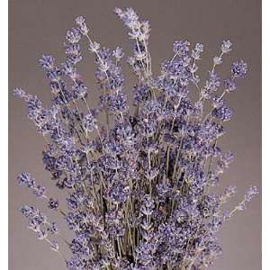  Dried Lavender Bunch