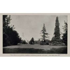 1902 Print James Flood Estate Menlo Park California   Original 