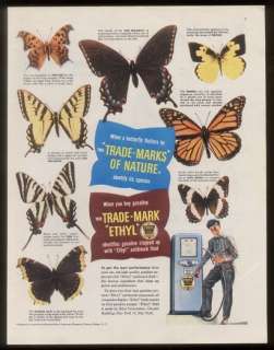 1948 8 butterfly photo study Ethyl Gas print ad  