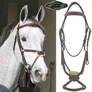  HDR Stress Free Raised Figure 8 Bridle with Reins 