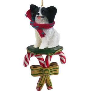  PAPILLON Black Dog CANDY CANE New Christmas Ornament 