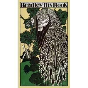  Bradley HIS Book Library Bookstore Fashion Peacock 20 X 