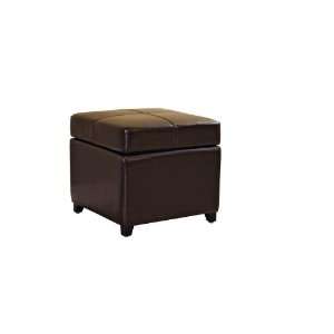  Modern Furniture  Dark Brown Full Leather Storage Cube 