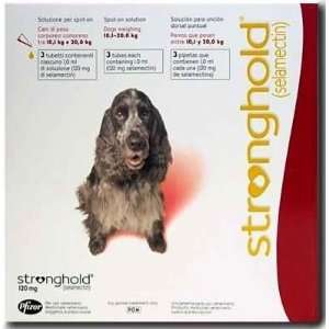  Stronghold medium dog RED 3