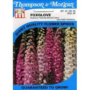   2843 Foxglove Excelsior Hybrid Mixed Colors (Digitalis) Seed Packet