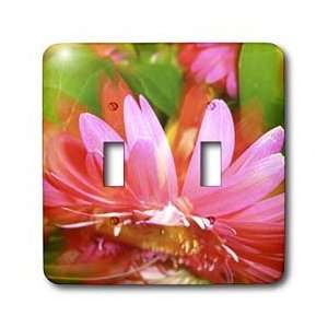  Florene Flower   Spreading My Petals   Light Switch Covers 