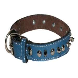  1 Spiked Blue Leather Collar (Fits neck size 17 20 