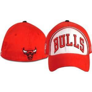  Chicago Bulls Flex Fit Baller Hat