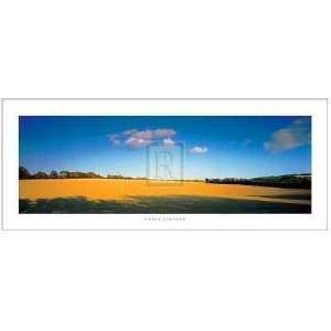  Chris Simpson   Great Meadow Size 20x8 Poster Print: Home 