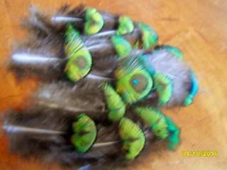 Feathers Peacock Neon Green for Hair Extensions Cruelty Free 20 
