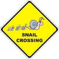 SNAIL CARTOON NOVELTY CROSSING SIGN 16 X16 INCH POLY  