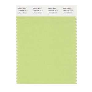  PANTONE SMART 13 0324X Color Swatch Card, Lettuce Green 