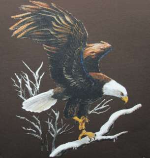    Bald Eagle Native American Nature Choctaw USA Pride Freedom  