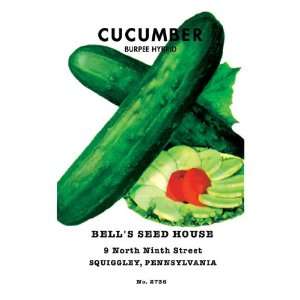  Cucumber Burpee Hybrid 18X27 Giclee Paper