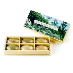 Aromatic herbs soap gift set (50 gr x 6)  Bay, Rosemary, Thyme 
