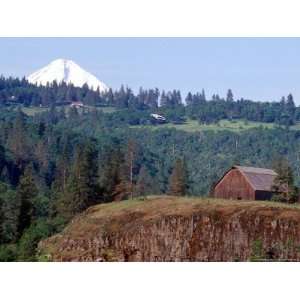 Weathered Barn and Mt. Hood, Columbia River Gorge, Oregon, USA Premium 