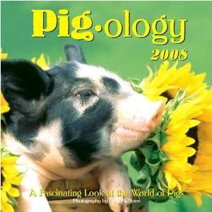  Pig ology 2008 Wall Calendar