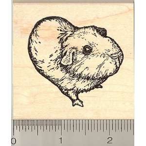  Guinea pig Rubber Stamp: Arts, Crafts & Sewing