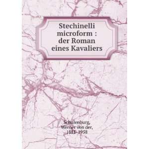   Roman eines Kavaliers: Werner von der, 1881 1958 Schulenburg: Books