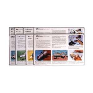 American Educational 2189 8 Piece Full Color Dissectogram Set:  
