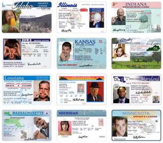 DRIVER LICENSE TEMPLATES FUN CARDS INVITATIONS PSD  