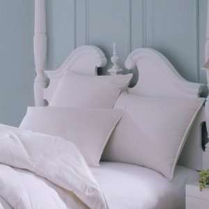  Wildon Home CSN WH WD P Majestic Cotton Down Pillow in 