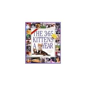  365 Kittens a Year 2010 Wall Calendar: Office Products