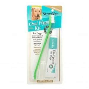 Dog Dental Kit   Oral Hygiene Kit for Dogs Is a Convenient Way to Help 
