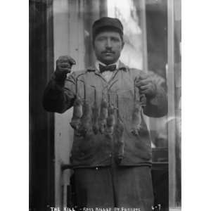  1900s photo Rat catcher holding string of rats killed by 