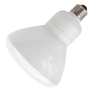   2R4019DIM30k Dimmable Compact Fluorescent Light Bulb